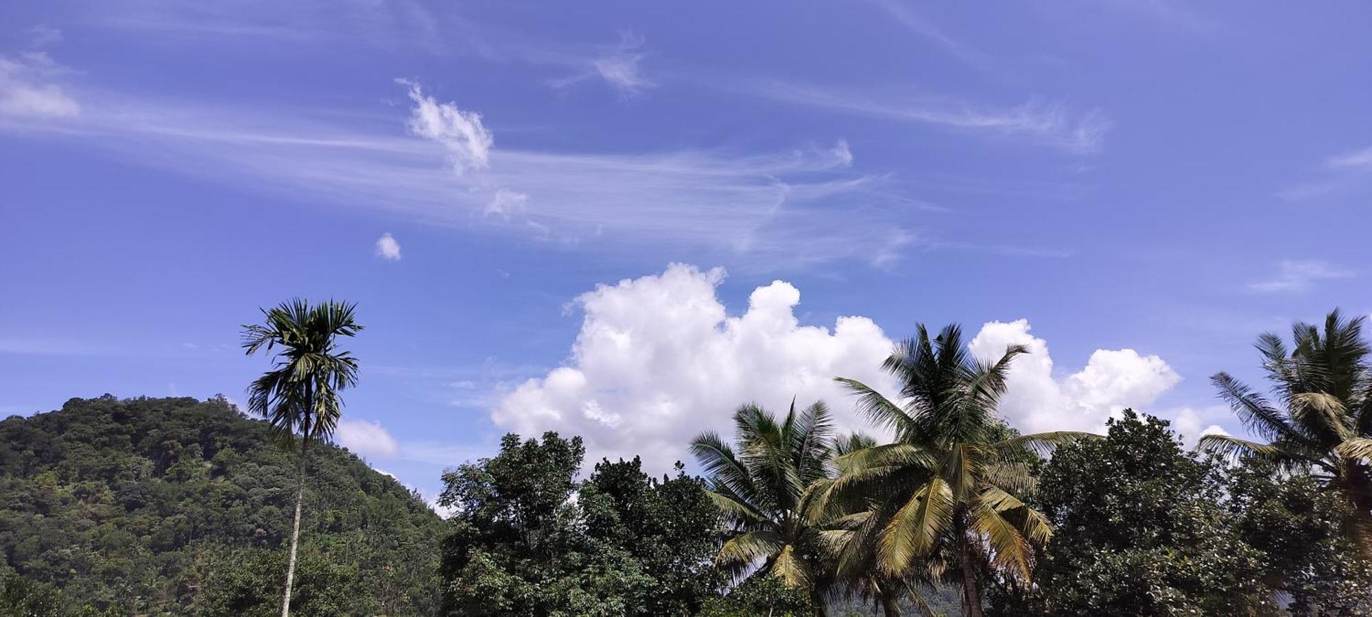 Himadri Munnar Holidays المظهر الخارجي الصورة