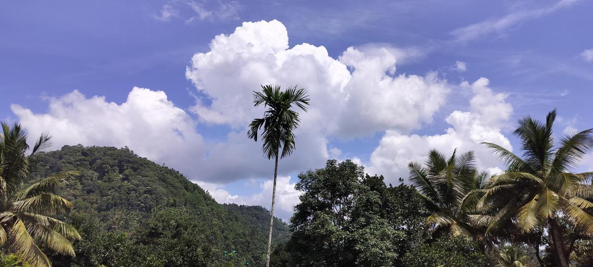 Himadri Munnar Holidays المظهر الخارجي الصورة